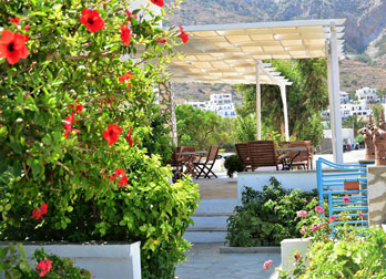 Blooming flowers at Hotel Afroditi in Sifnos